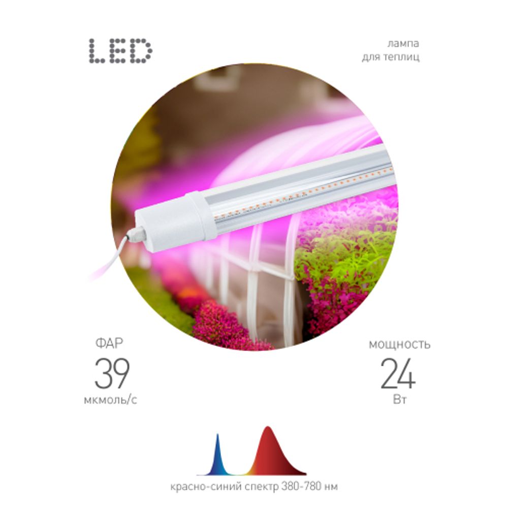 Светильник для растений, фитолампа светодиодная линейная ЭРА FITO-24W-RB-N красно-синего спектра 24 Вт | Линейные фито светильники