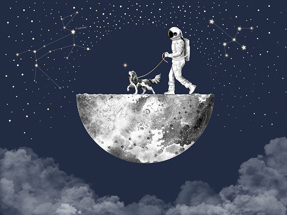 Коллекция COSMOS25