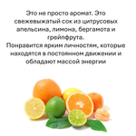 Цитрусовая магия, кубики восковые для ароматизации, 10 штук