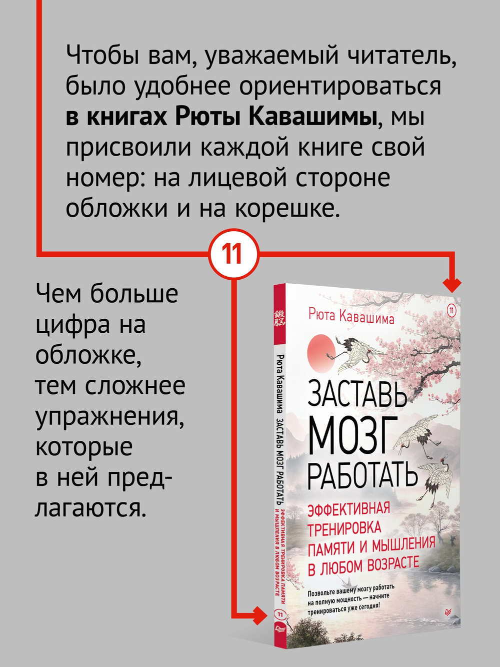 Заставь мозг работать. Эффективная тренировка памяти и мышления в любом возрасте