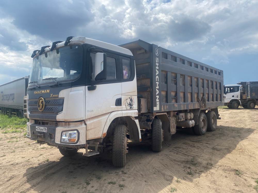 Shacman (Shaanxi) SX* 8x4 Самосвал SX32586T384 (Дизельный, 11,6 л, 423 л.с., МТ)