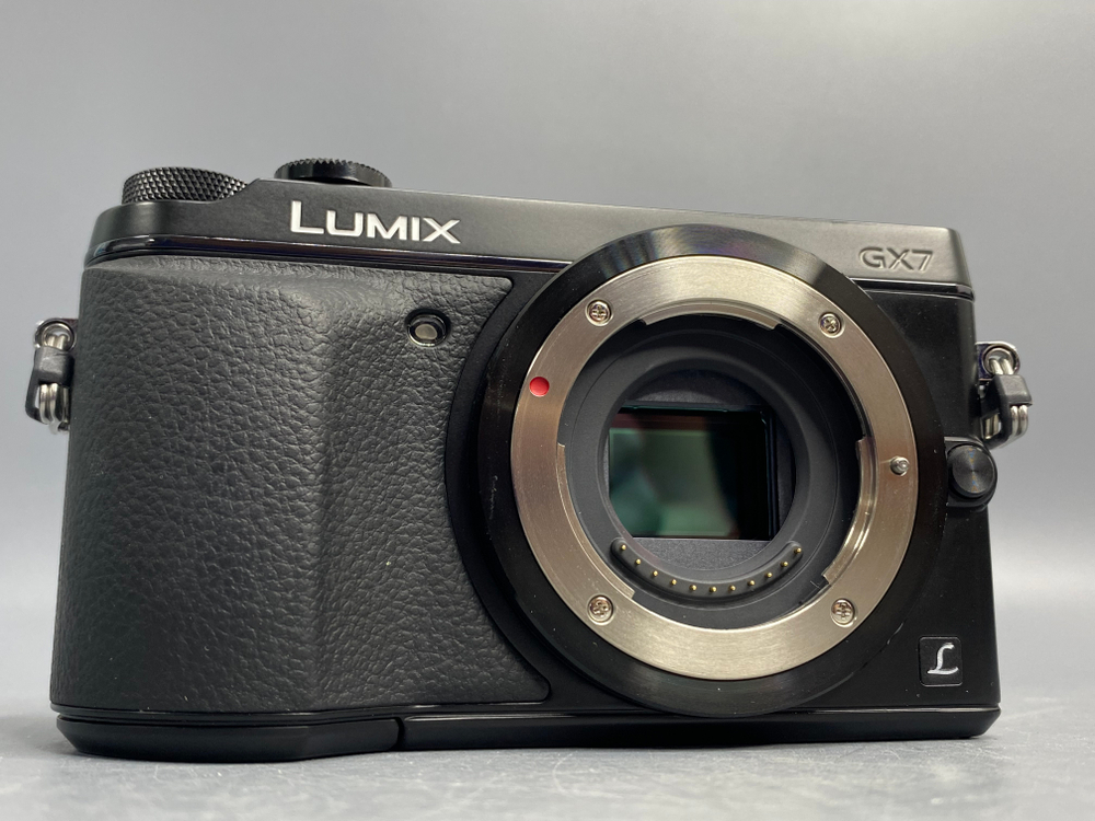 Panasonic Lumix DMC-GX7 3500 кадров