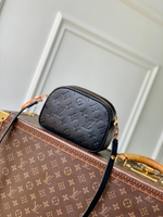 Louis Vuitton Tiny Camera Bag