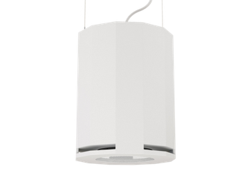 CVGAUDIO SUBone model DH-8W/CR подвесной сабвуфер, мощность 150W/300W