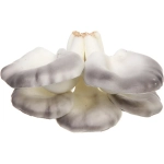 Фигура садовая «Вешенки» 10*14 см, серый