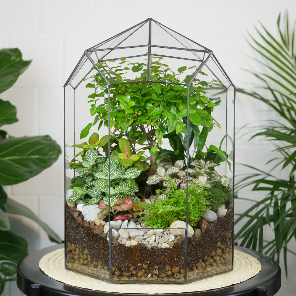 Флорариум Ботанический сад с бонсай XL