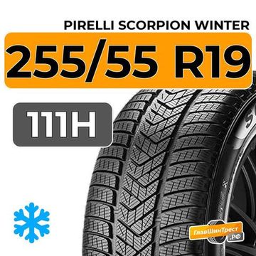 Pirelli Scorpion Winter 255/55 R19 111H XL