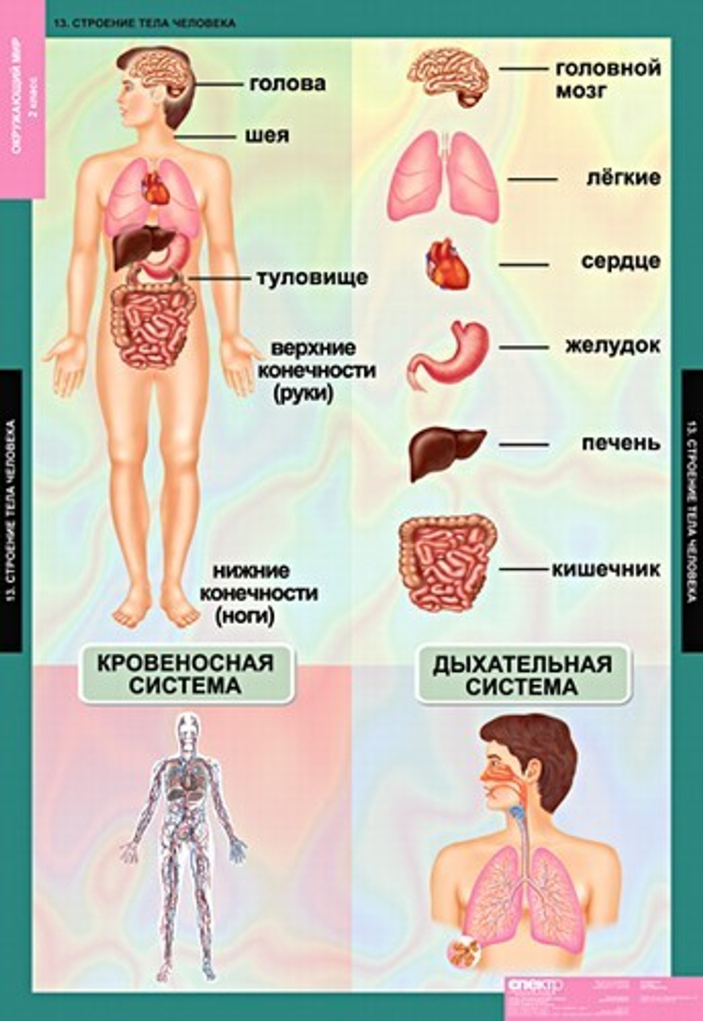 Комплект таблиц "Окружающий мир 2 кл."; 15 таблиц