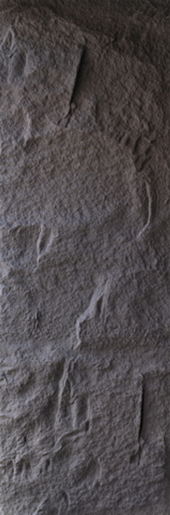 Stone Panel Rock Stone 6-black 2400*800*55mm