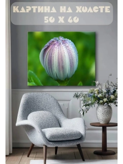 Картина на стену 40 X 50 Бутон