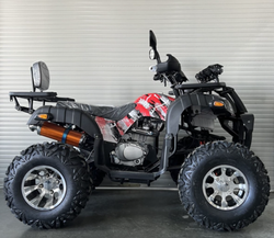 Квадроцикл 200 ALL ROAD (2022 г.)