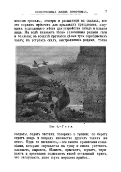 Общественная жизнь животных | Лункевич Валериан Викторович