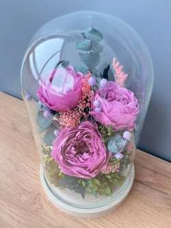 натуральные пионы в стекле