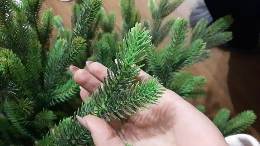 Ель искусственная «Мисхор» (литая хвоя) 120 см / 1.2 м