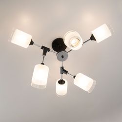 Citilux Эрик CL136165 Люстра потолочная Чёрная