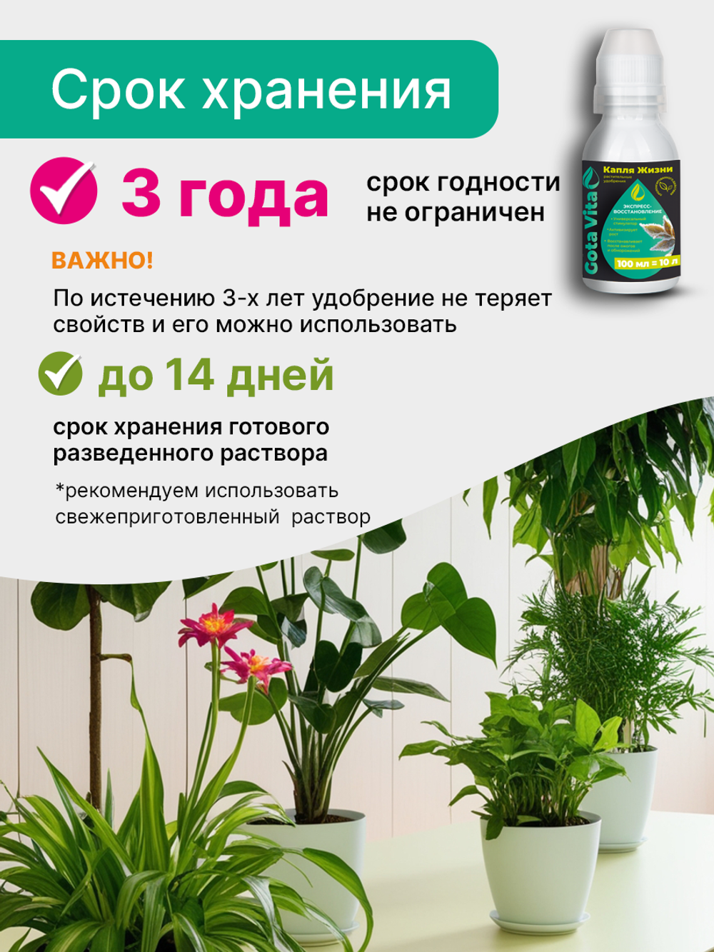 Экспресс -восстановление 100/10