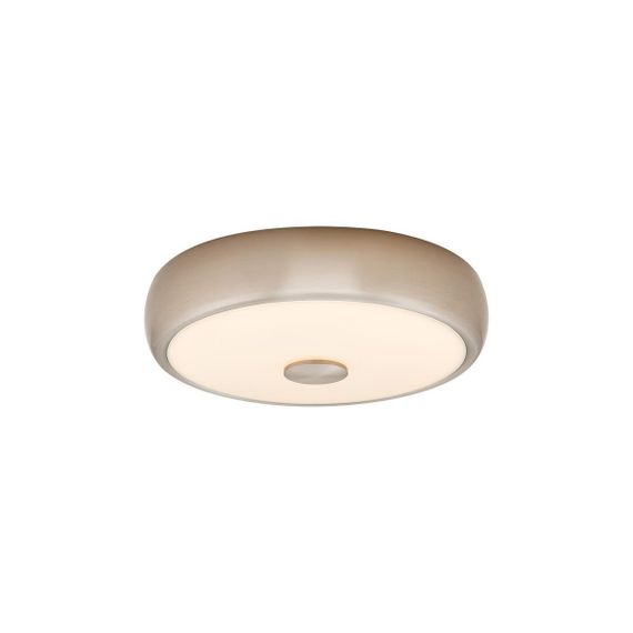 Потолочный светодиодный светильник Citilux Фостер-3 CL706321