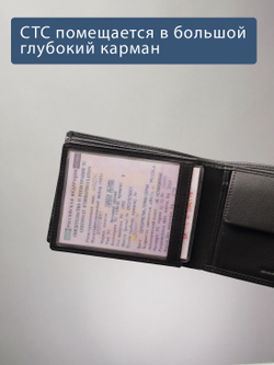 B250009R Castanho - Портмоне c RFID защитой MP