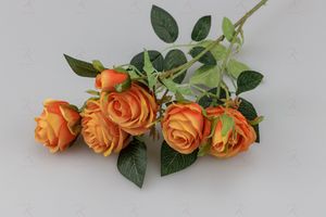 Ветка розы Миранда