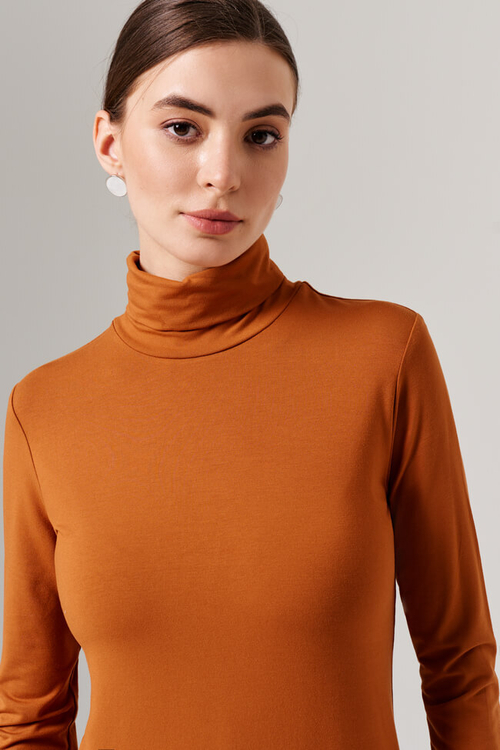 23162 Водолазка женская (медный)