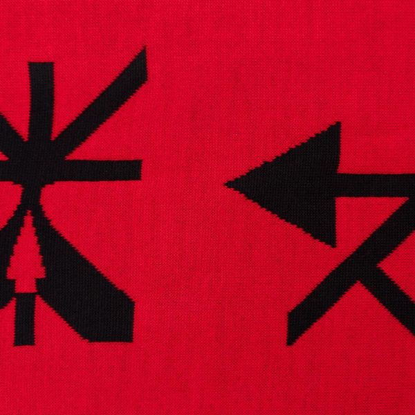 Шарф FW22 SCARF Red - фото 3