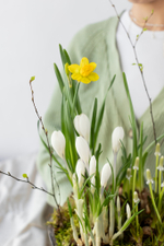 Первоцветы в хрустальной вазе — гиацинты и нарциссы