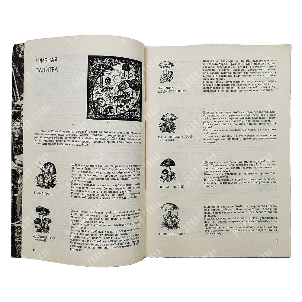 Справочник московского грибника. — М.: Издательство «Реклама», 1971