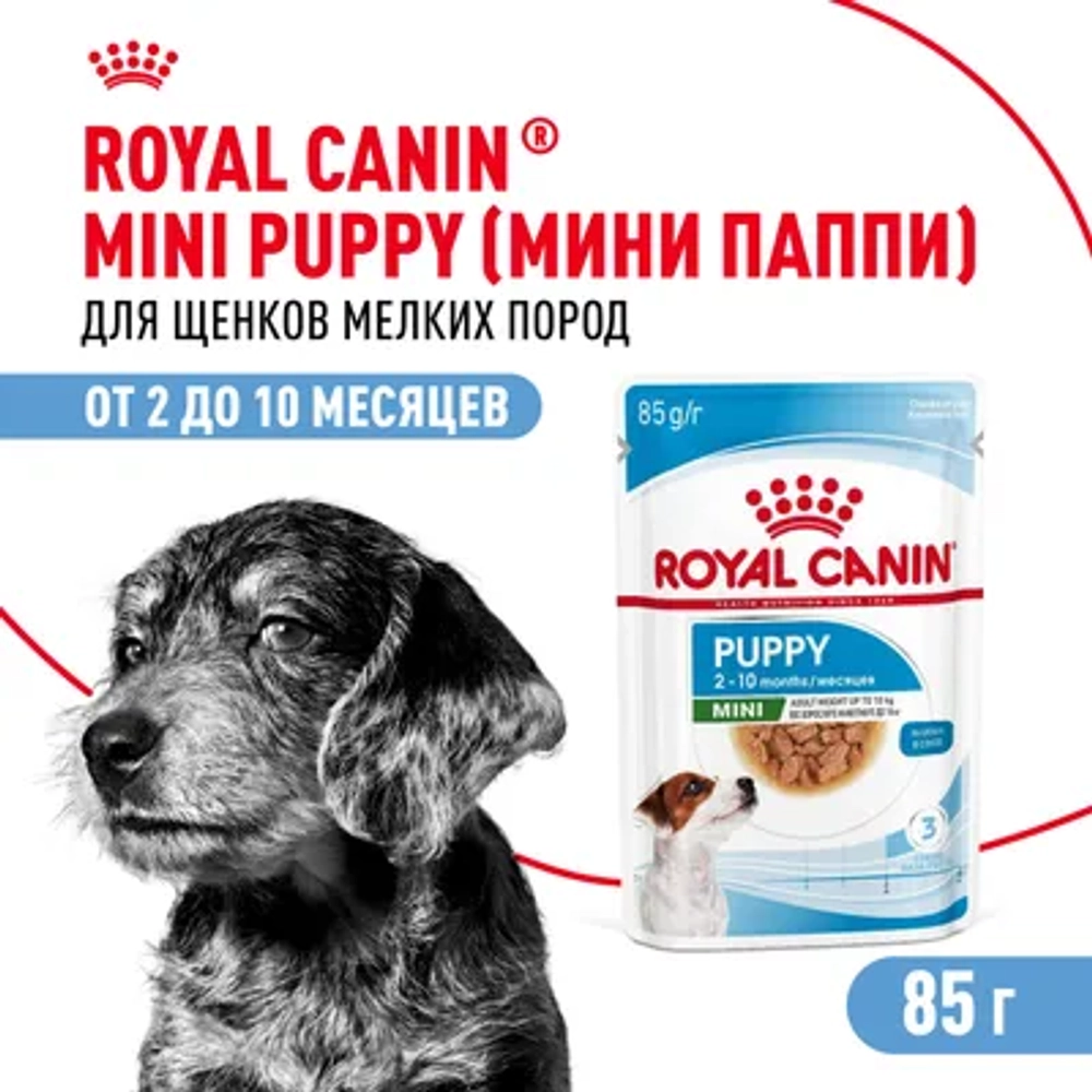 ROYAL CANIN Mini Puppy Корм консервированный для щенков мелких пород в возрасте до 10 месяцев, кусочки в соусе, 85 г