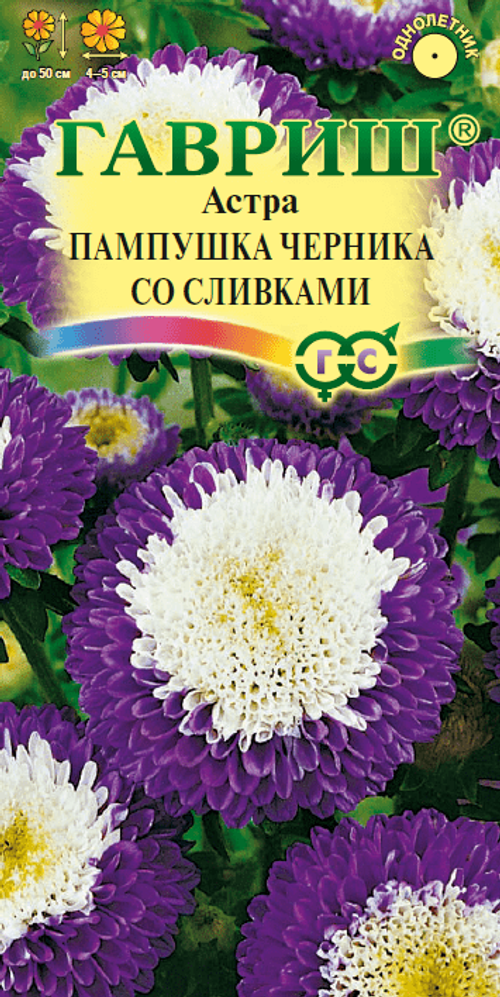 Астра Пампушка черника со сливками 0,3г (Гавриш)
