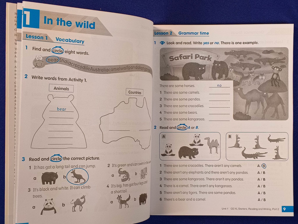 Academy Stars 2: Pupil's Book+Workbook+CD