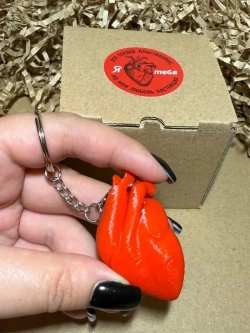 3D сердце анатомическое красное