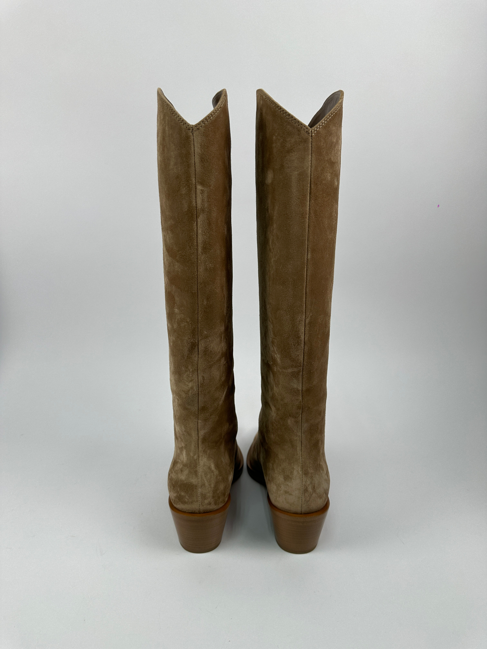 Сапоги Gianvito Rossi