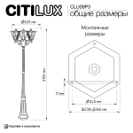 Ландшафтный светильник Citilux Forts CLU09P3