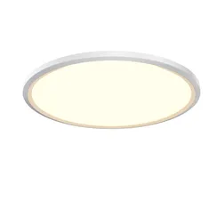 Потолочный светильник Maytoni MOD426CL-L43WK1