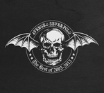Avenged Sevenfold / The Best Of 2005-2013 (2CD)