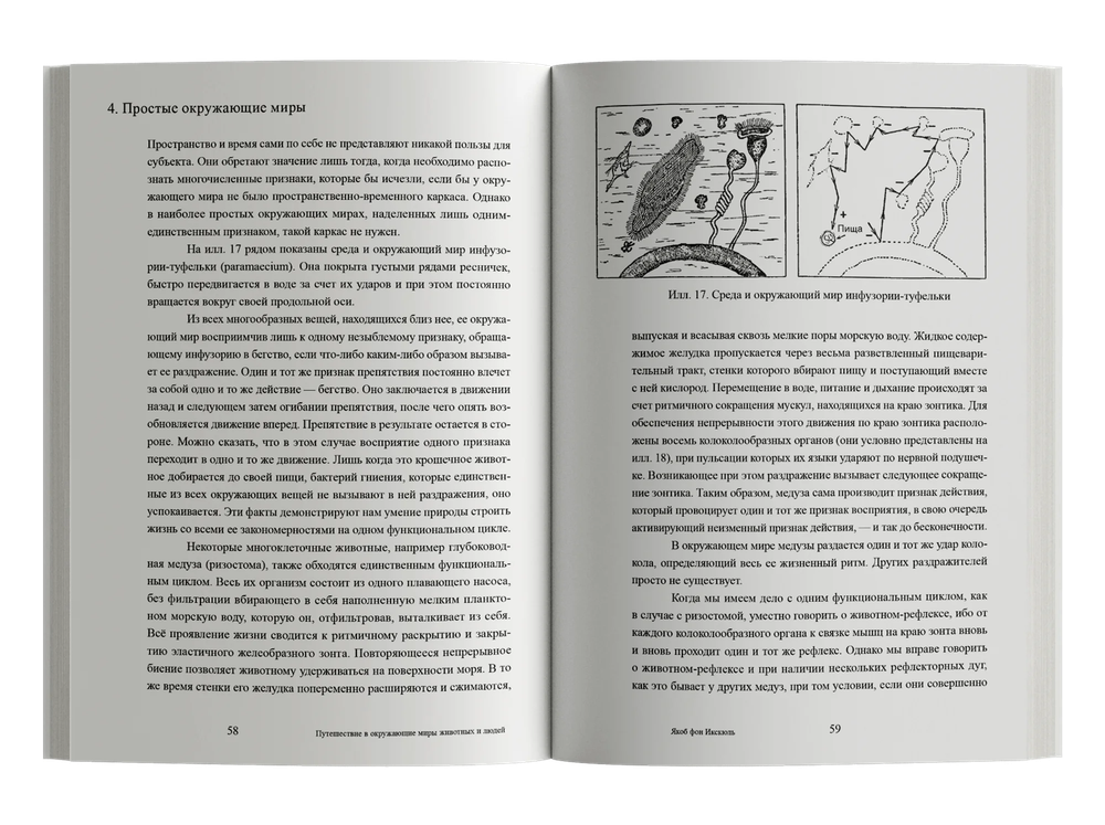 Путешествие в окружающие миры животных и людей