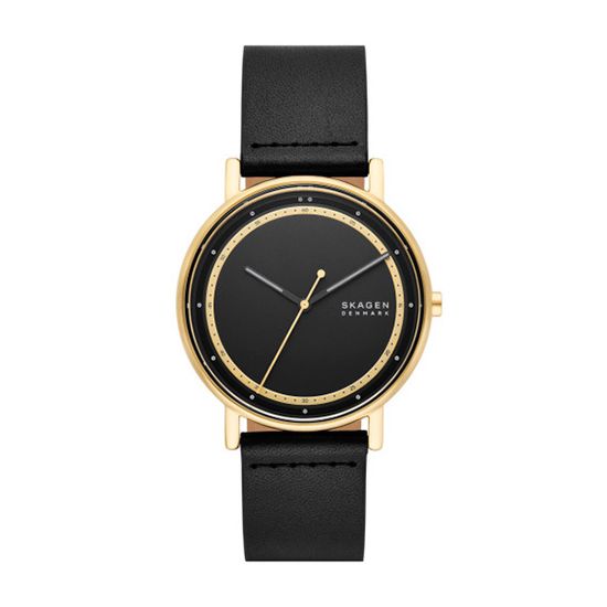 Мужские часы Skagen SKW6897