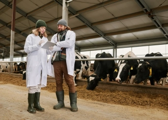 Сопровождение продукции