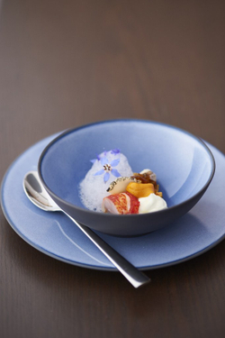 Тарелка десертная 21.5см Revol Equinoxe Blue синяя