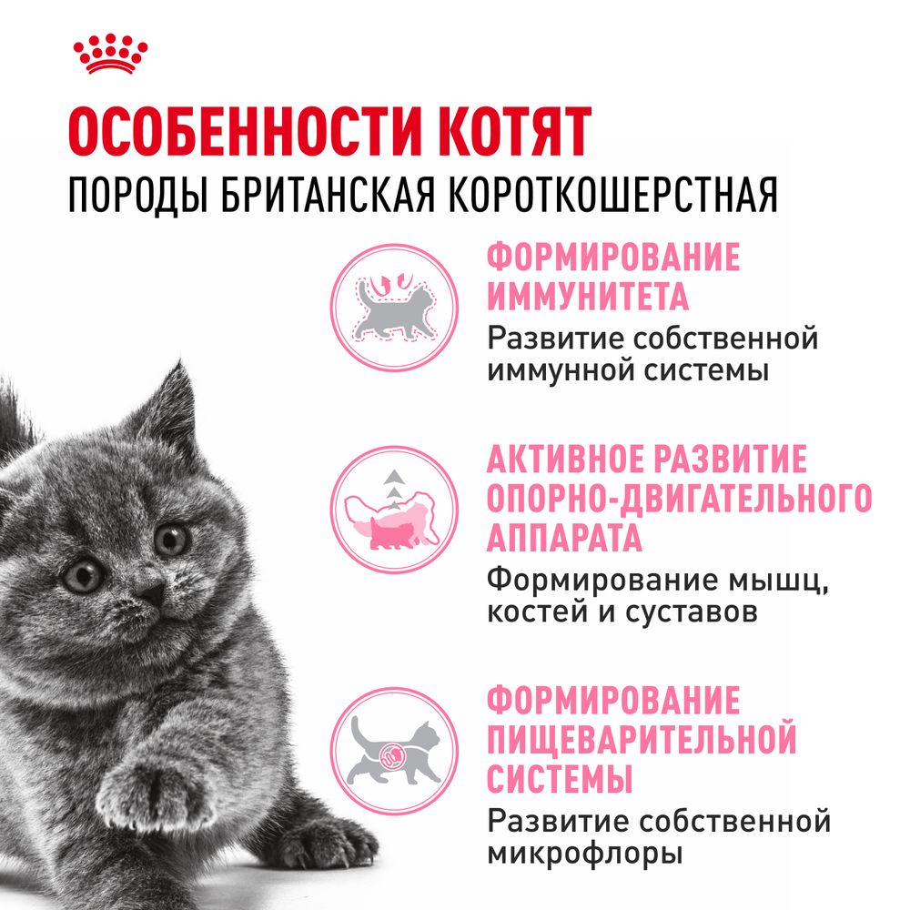Сухой корм Royal Canin British Shorthair Kitten для британских короткошерстных котят