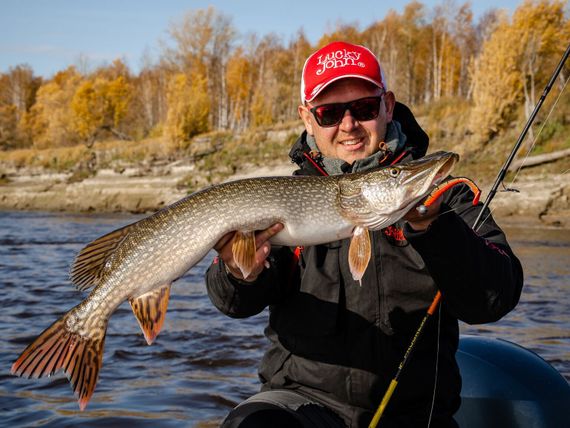 Виброхвосты LJ 3D BBS Series KUBIRA SWIM SHAD 9,0in (22,86)/PG22 1шт.+Stinger L