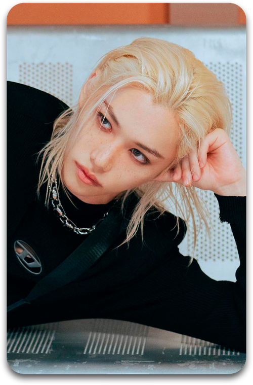 Карта / STRAY KIDS #2931