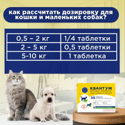 Таблетки от гельминтов для собак и кошек со вкусом мяса Квантум (VIC), 20 таб. Мебендазол/Празиквантел