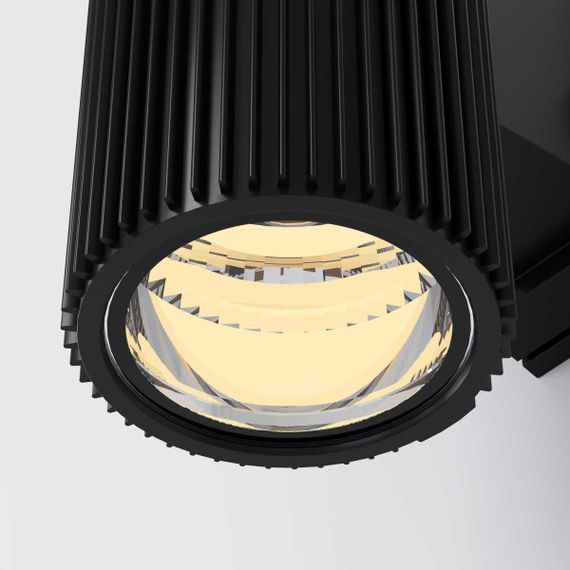 Настенный светильник Maytoni Outdoor O419WL-02B