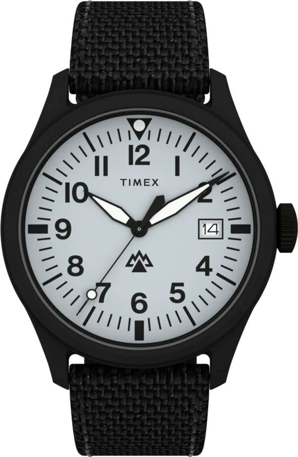 мужские  наручные часы Timex TW2W34700