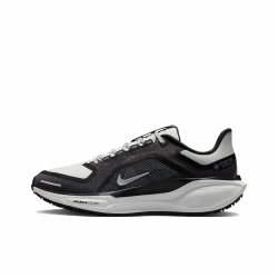 Женские кроссовки Nike Air Zoom Pegasus 41 Gore-Tex 'Black Summit White' FQ1357-002