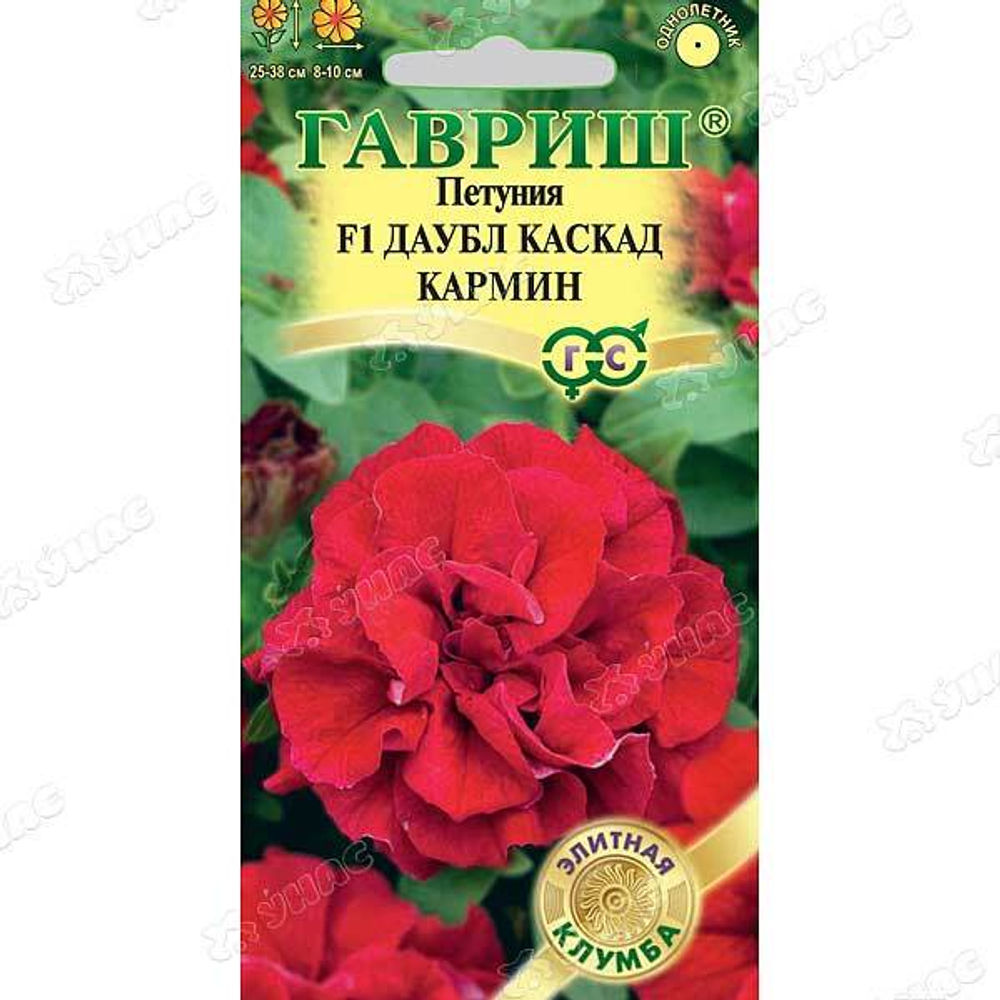 Петуния Даубл Каскад Кармин Гавриш Ц