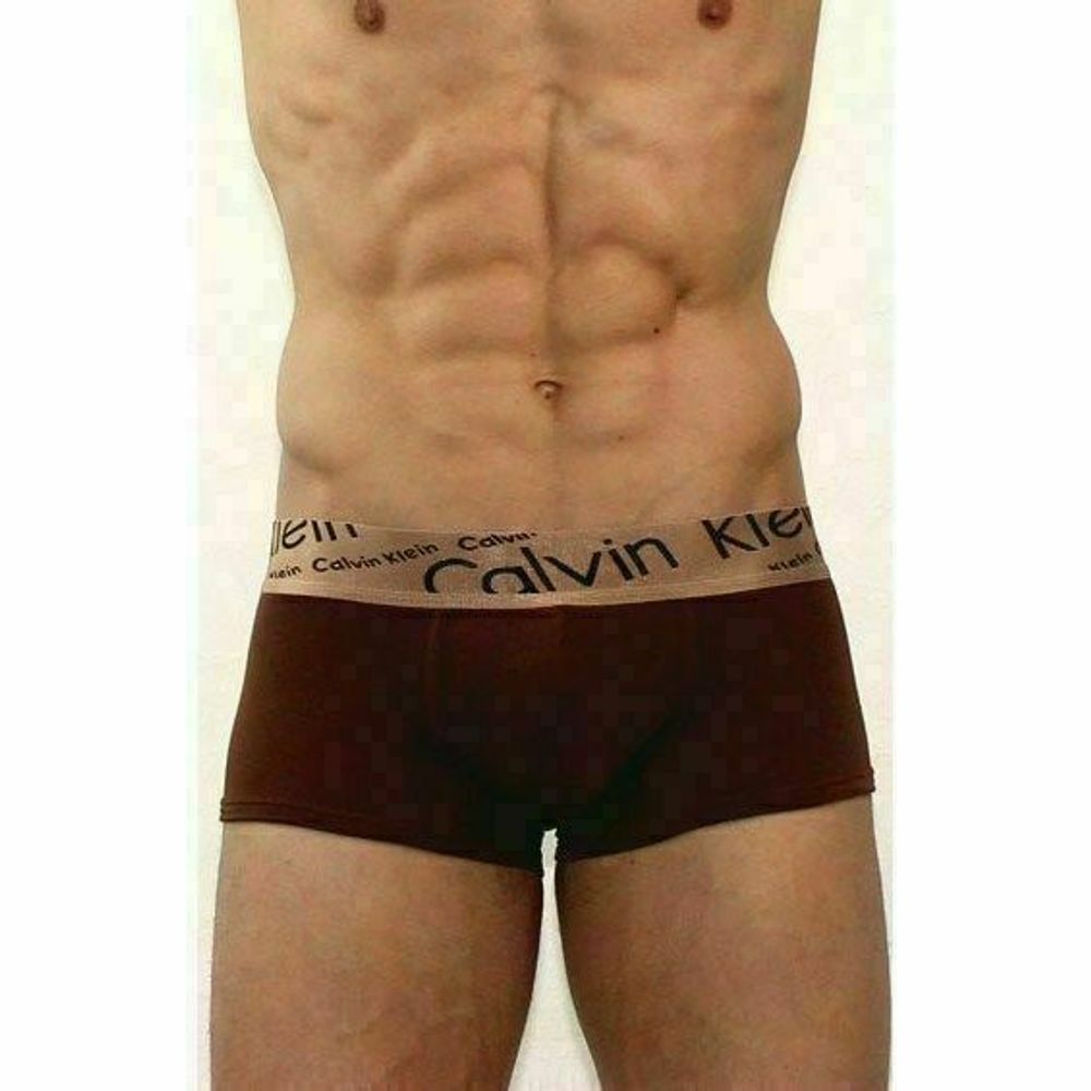 Мужские трусы хипсы коричневые с косой резинкой Calvin Klein Bronze Boxer Italics Brown