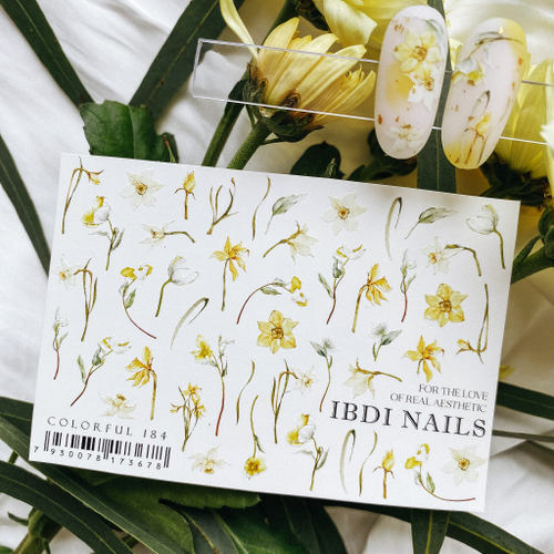 IBDI слайдер дизайн COLORFUL №184