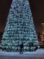 Светодинамическая елка каркасная - встроенная гирлянда: холодный свет - "Уральская" 11 м